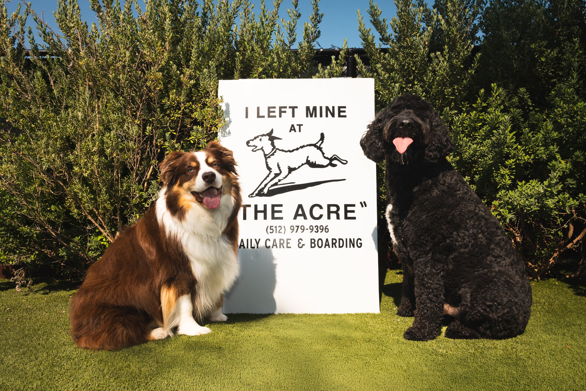 The Acre gallery